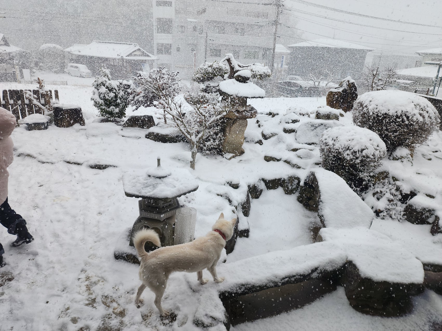 古民家改装現場