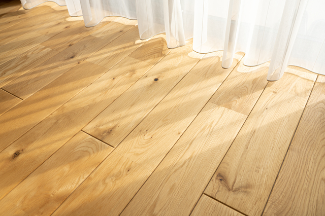 木の「節(ふし)」に注目!