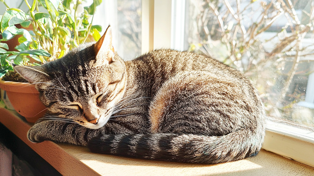 冬前にやっておきたい点検【前編:家の中】